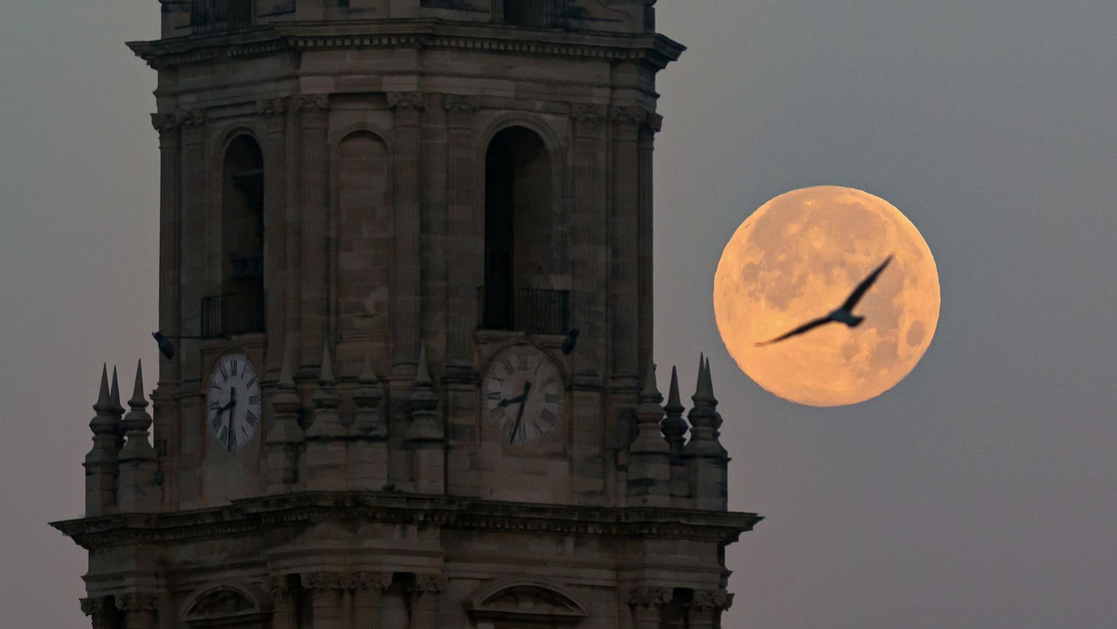 Exactly When To See A ‘Cold Supermoon’ Rise Exactly When To See A ‘Cold Supermoon’ Rise