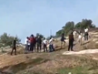Settlers Using IDF Weapons Shoot Palestinian Woman; Others Trespass, Throw Stones in Three Separate Incidents