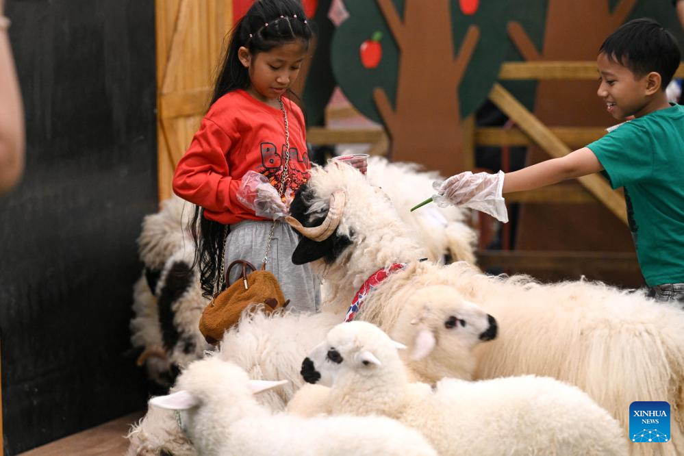 Indonesia International Pet Expo 2025 held in Tangerang-Xinhua