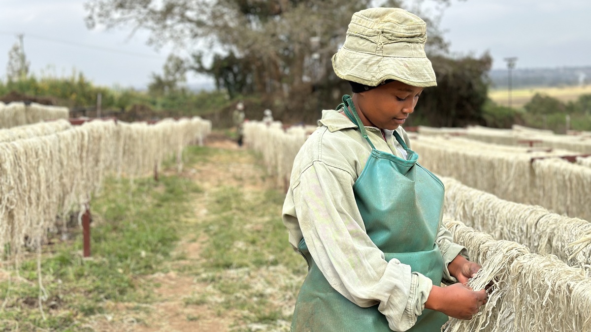 Africa: Rethinking plastics to unlock industrial potential