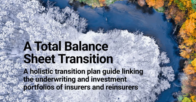 A holistic transition plan guide linking the underwriting and investment portfolios of insurers and reinsurers – United Nations Environment – Finance Initiative