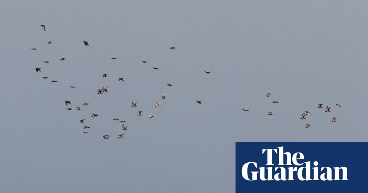 One of the oddest UN resolutions in history seeks to solidify shaky Gaza ceasefire into an enduring peace | Gaza