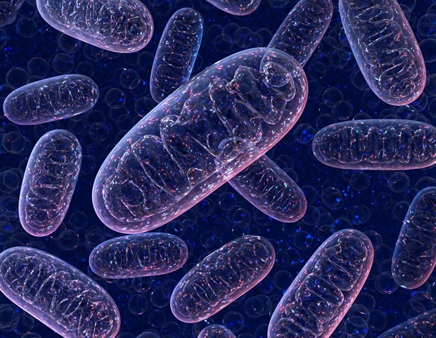 Dysfunctional mitochondria shown to initiate the onset of Parkinson’s