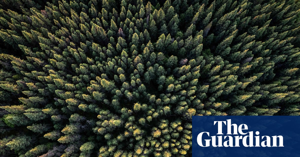 Drax, the forestry industry and the guise of ‘green’ energy | Drax