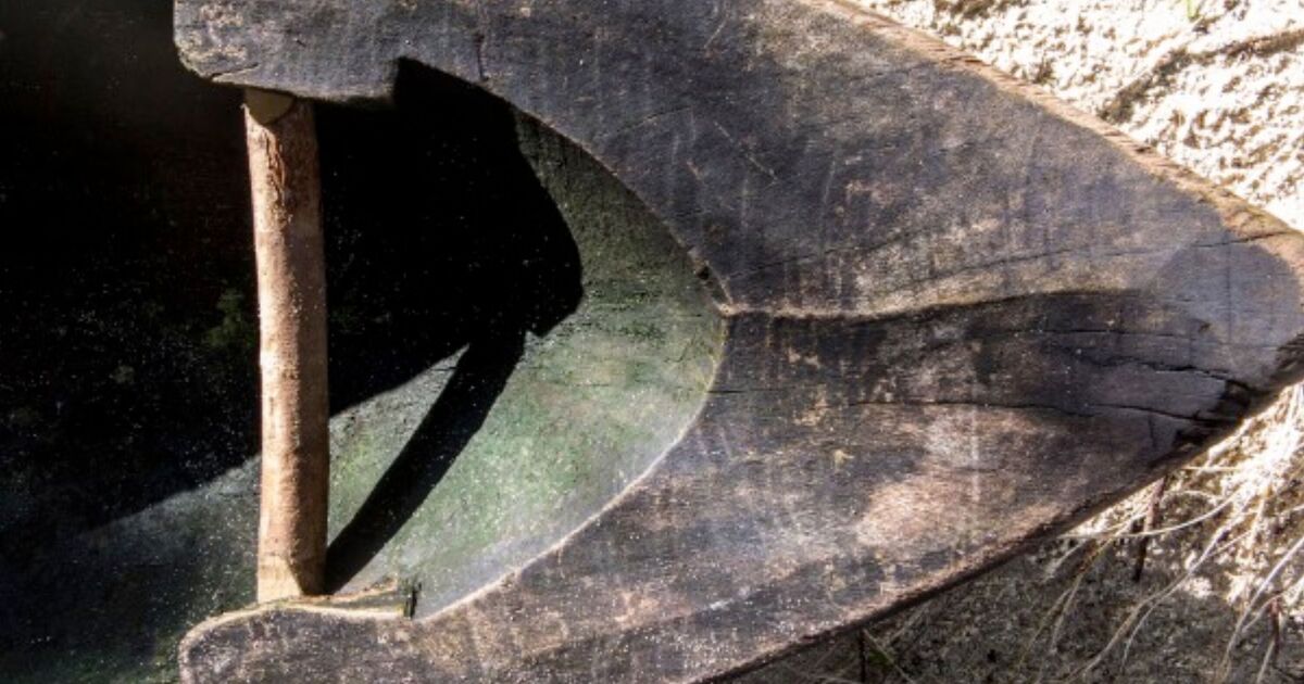 Archaeological breakthrough contradicts the timeline of human civilization – Science – News