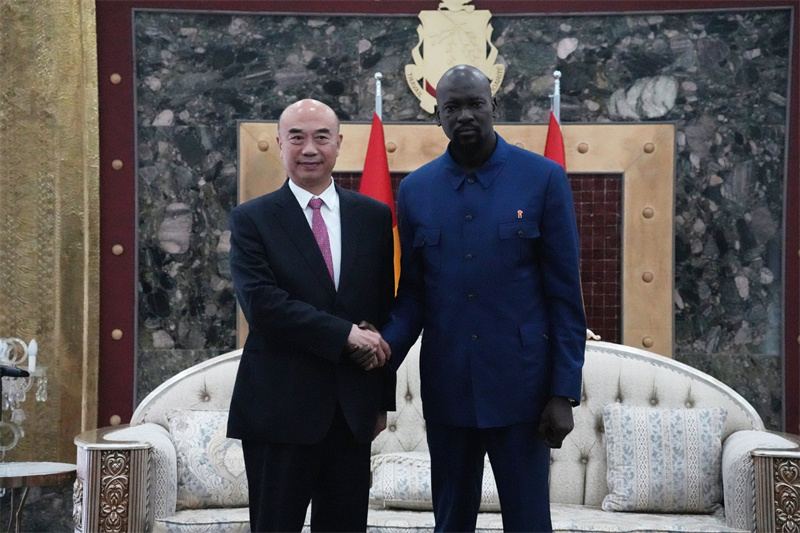 China ready to deepen mutually beneficial cooperation with Guinea: vice premier