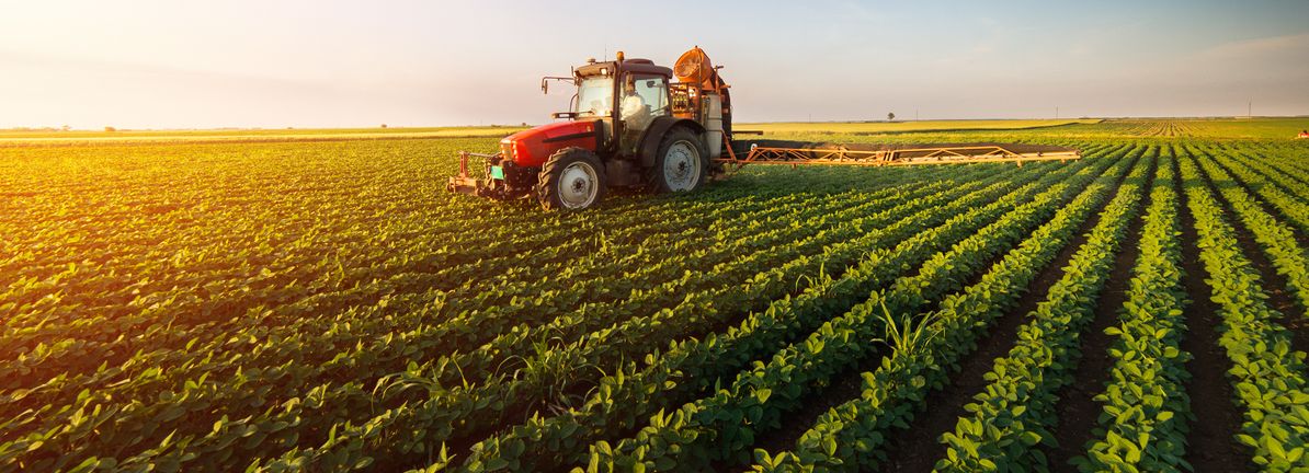 Wilmar International (SGX:F34) investors are sitting on a loss of 3.0% if they invested five years ago