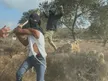 Israeli authorities arrest settler allegedly seen clubbing Palestinian woman during West Bank olive harvest in video