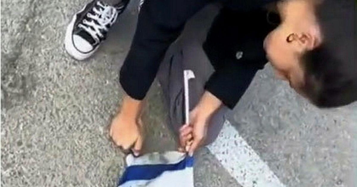 בית הספר שנקר גינה סרטון של תלמידה שניסתה להצית דגל ישראל – אמנות בית הספר שנקר גינה סרטון של תלמידה שניסתה להצית דגל ישראל – אמנות