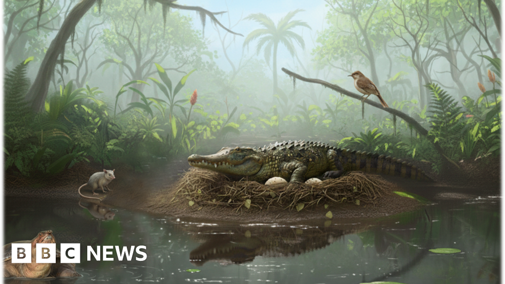 Evidence of ancient tree-climbing ‘drop crocs’ found in Australia