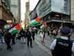 Report: Pro-Palestinian Activists Arrested During Off-campus Israeli Event in Toronto