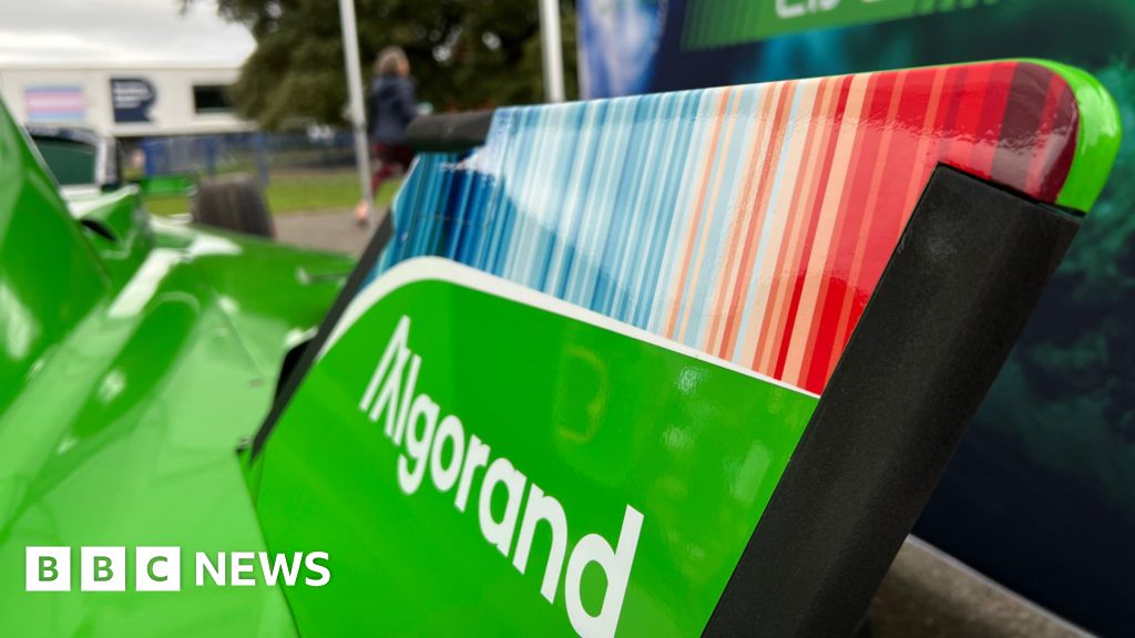 Reading University’s climate stripes feature on Formula E car