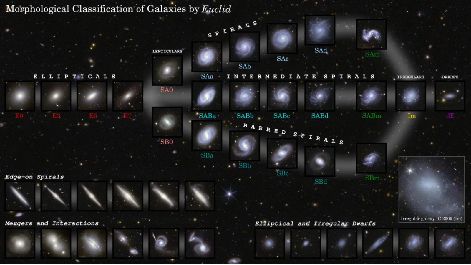 The Euclid space telescope observed 1.2 million galaxies in just 1 year: Here’s what we’ve learned The Euclid space telescope observed 1.2 million galaxies in just 1 year: Here’s what we’ve learned
