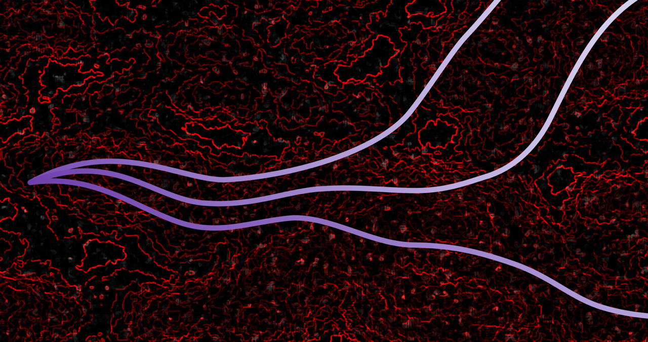 University of Arizona astronomer develops novel method to make AI more trustworthy