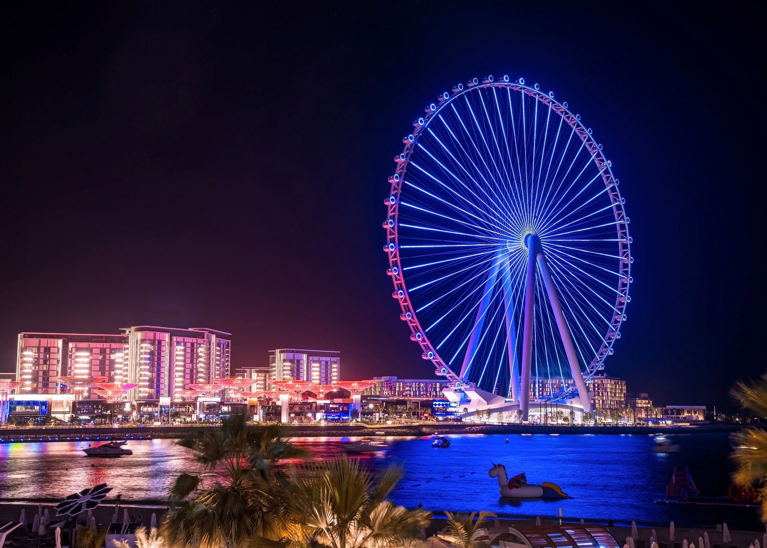 Artificial light at night is disrupting Earth’s carbon balance