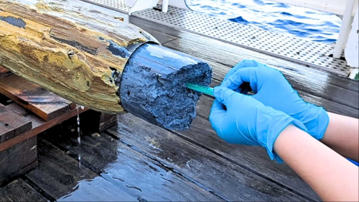 Scientists Discover Mysterious Signs of Life in Bizarre Blue Volcanic Goo : ScienceAlert Scientists Discover Mysterious Signs of Life in Bizarre Blue Volcanic Goo : ScienceAlert