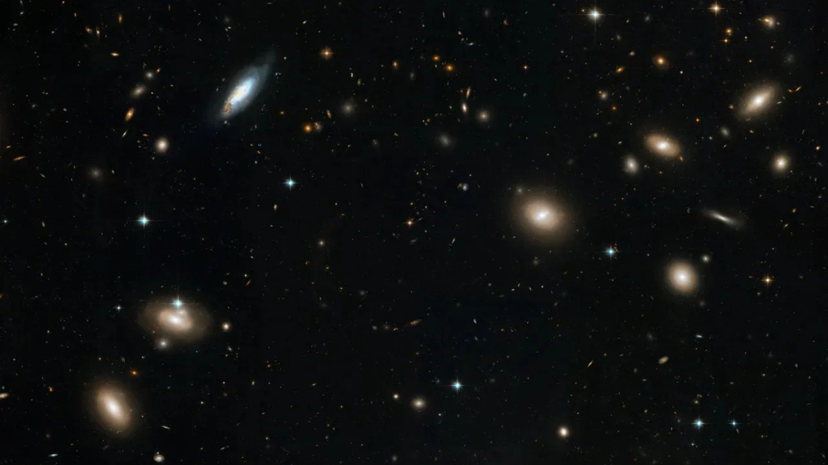 Studying Dark Matter Using Ancient Radio Waves