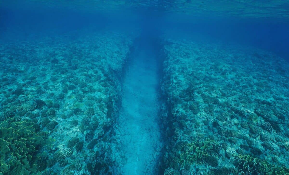 Experts Stunned as Earth’s Crust Begins to Collapse Beneath the Pacific, The Ocean Is Splitting Open