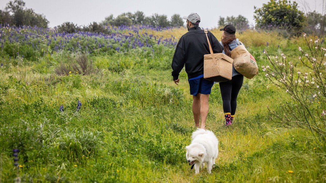 סוף שבוע חמים מהרגיל – לפני התקררות נוספת וחזרת הגשם