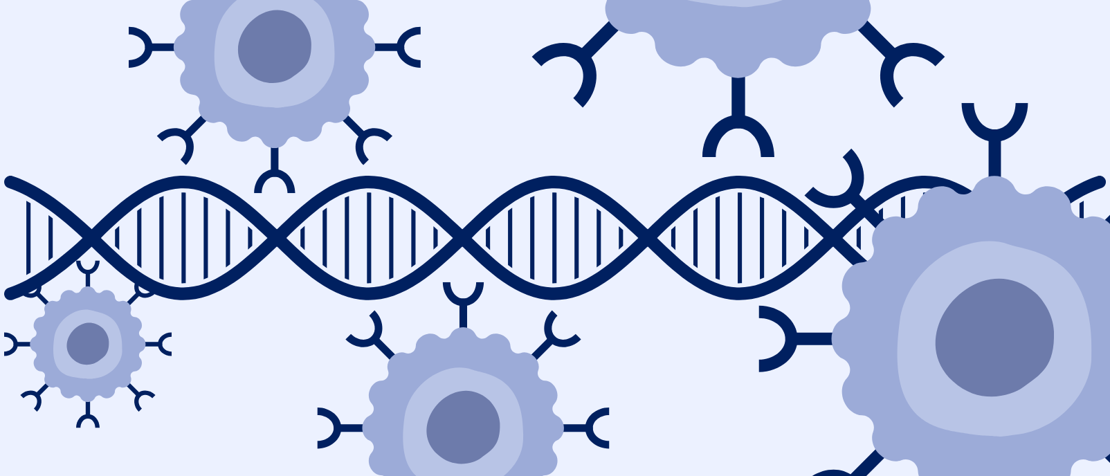 How is the FOXP3 Gene Regulated?