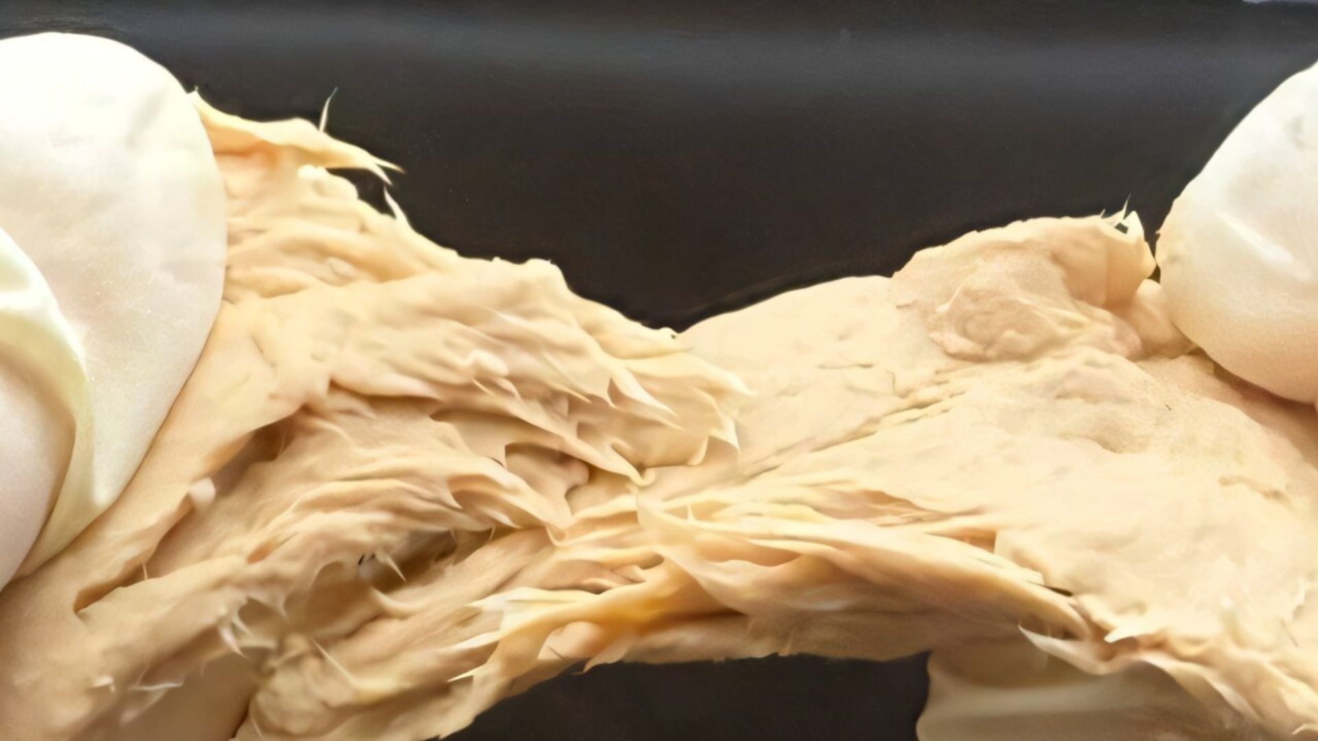 China scientists gene edit fungus into meat-like food with less land