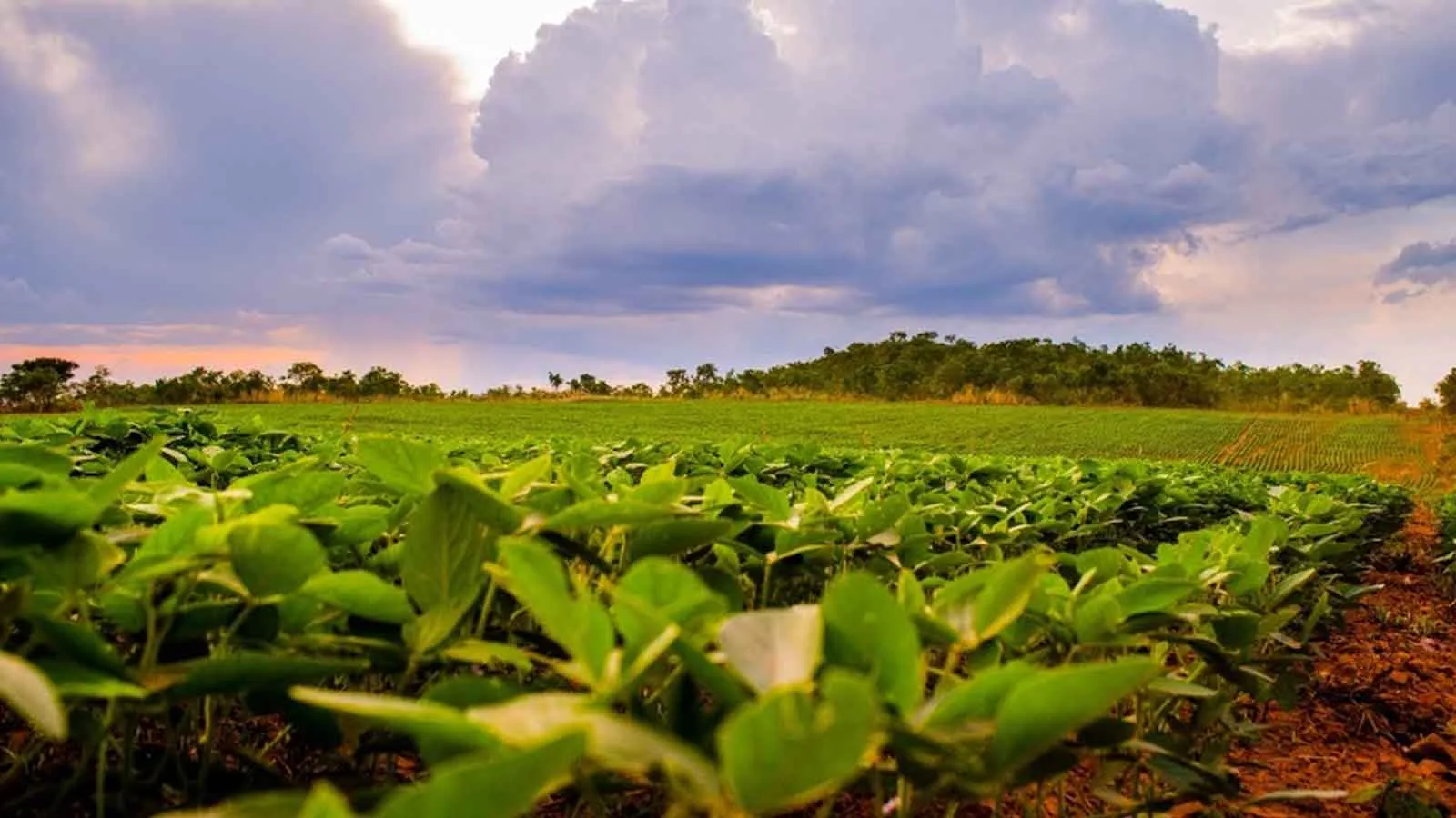 B Mobilized to Regenerate Agrifood Landscapes and Support 12M Farmers Worldwide