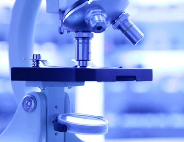 Opposing protein forces fine tune mRNA stability in human cells