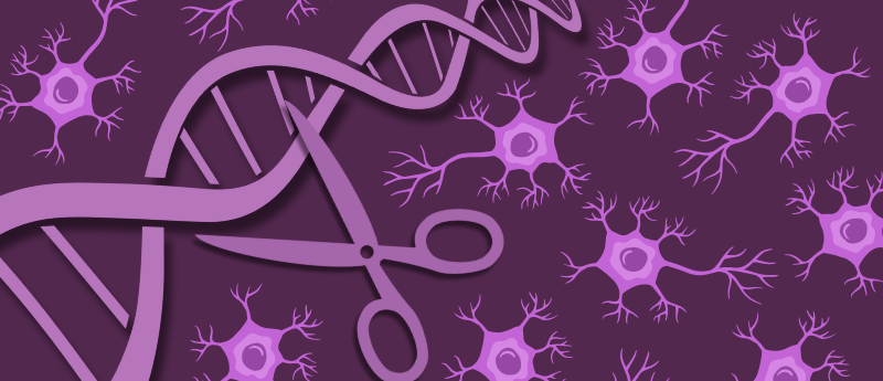 Study Reveals How Neurons Respond to CRISPR-Cas9