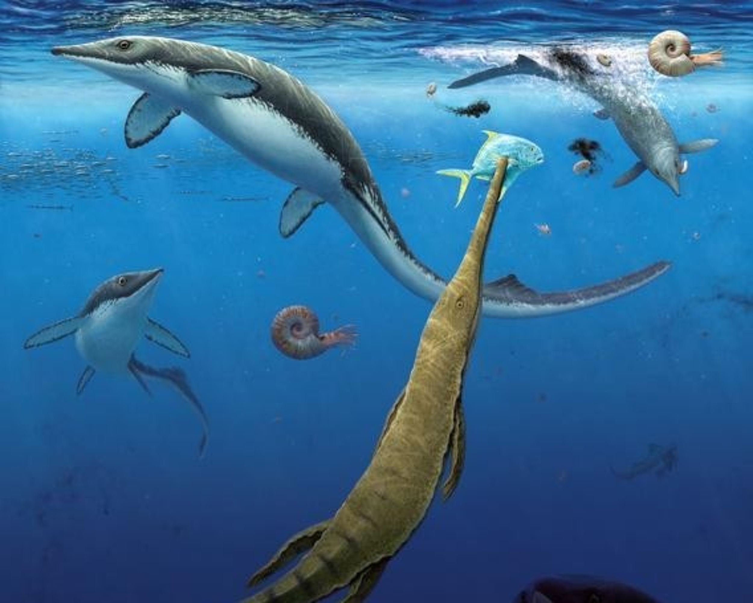 Ocean life rebounded quickly after Earth’s worst extinction event