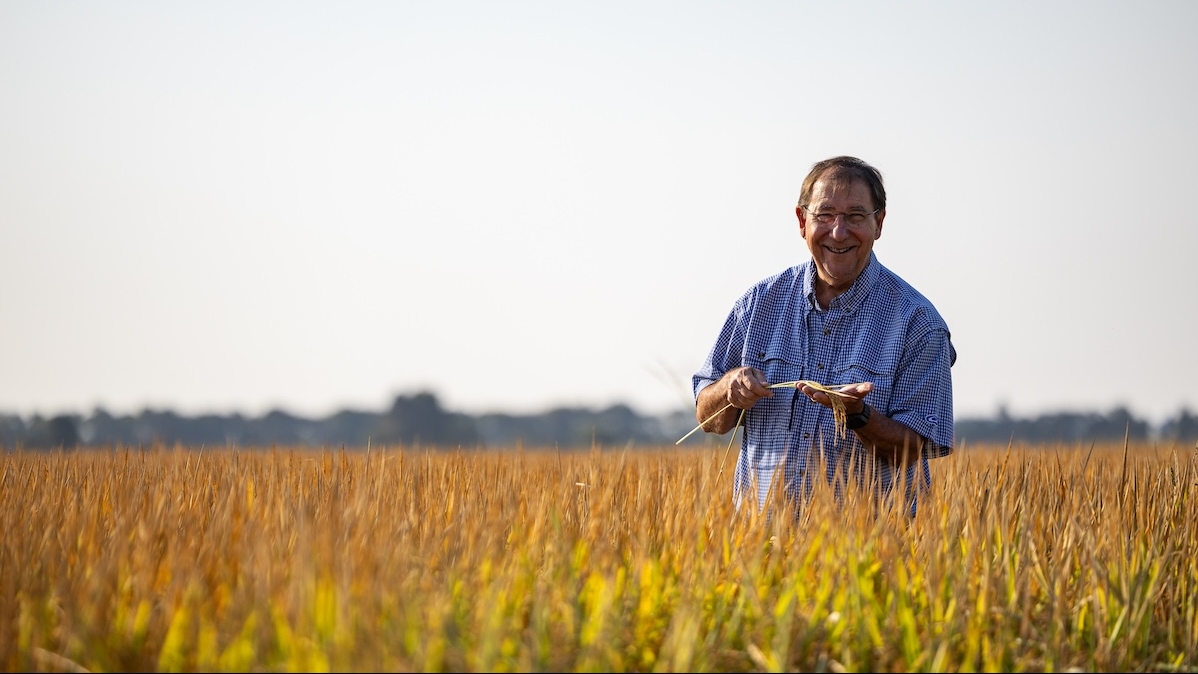 How Mars is partnering with U.S. rice farmers to drive resilience