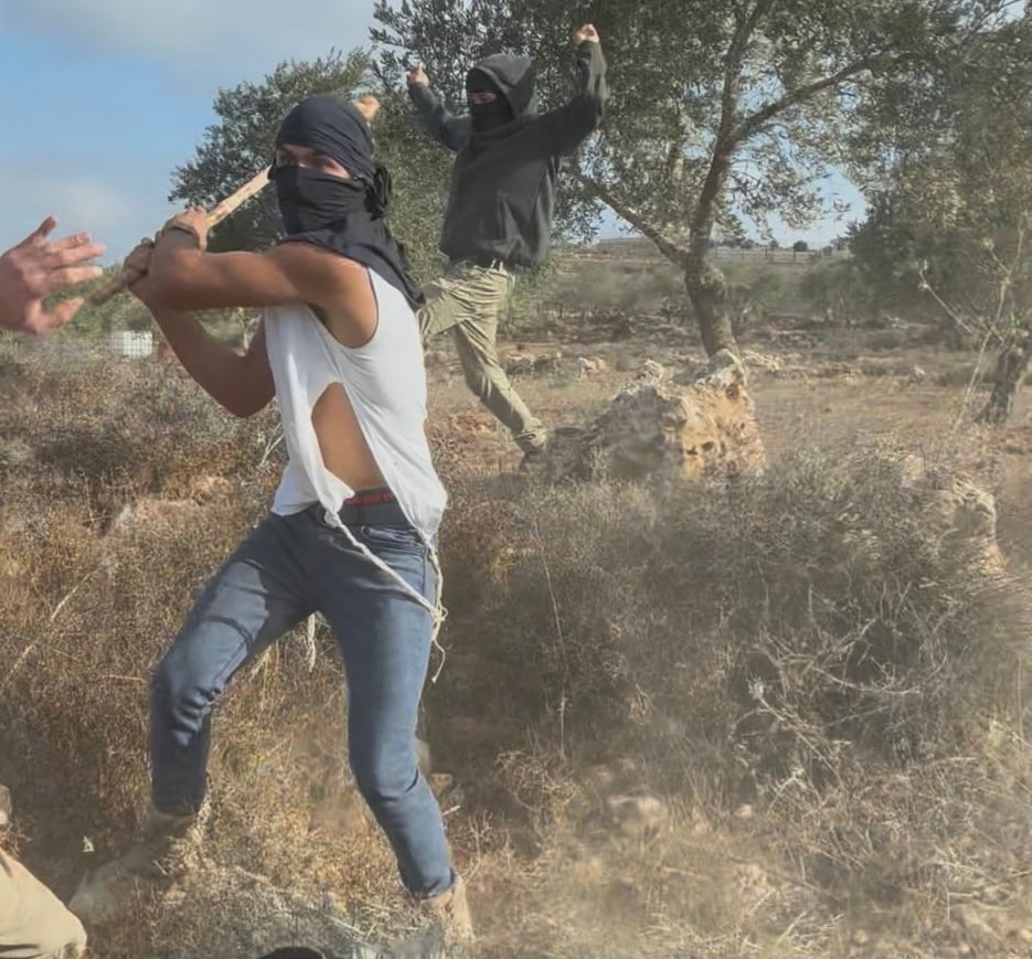 Settler indicted after allegedly beating Palestinian woman unconscious with club