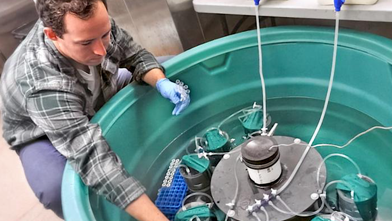 Small Aquatic Systems Found To Fix 15% Of Earth’s Nitrogen