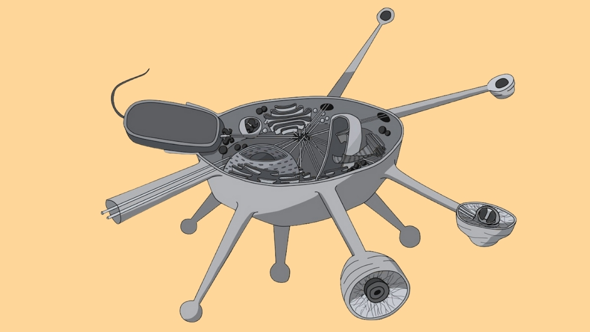 Newly Discovered Organism Could Represent a Whole New Branch in The Tree of Life : ScienceAlert Newly Discovered Organism Could Represent a Whole New Branch in The Tree of Life : ScienceAlert