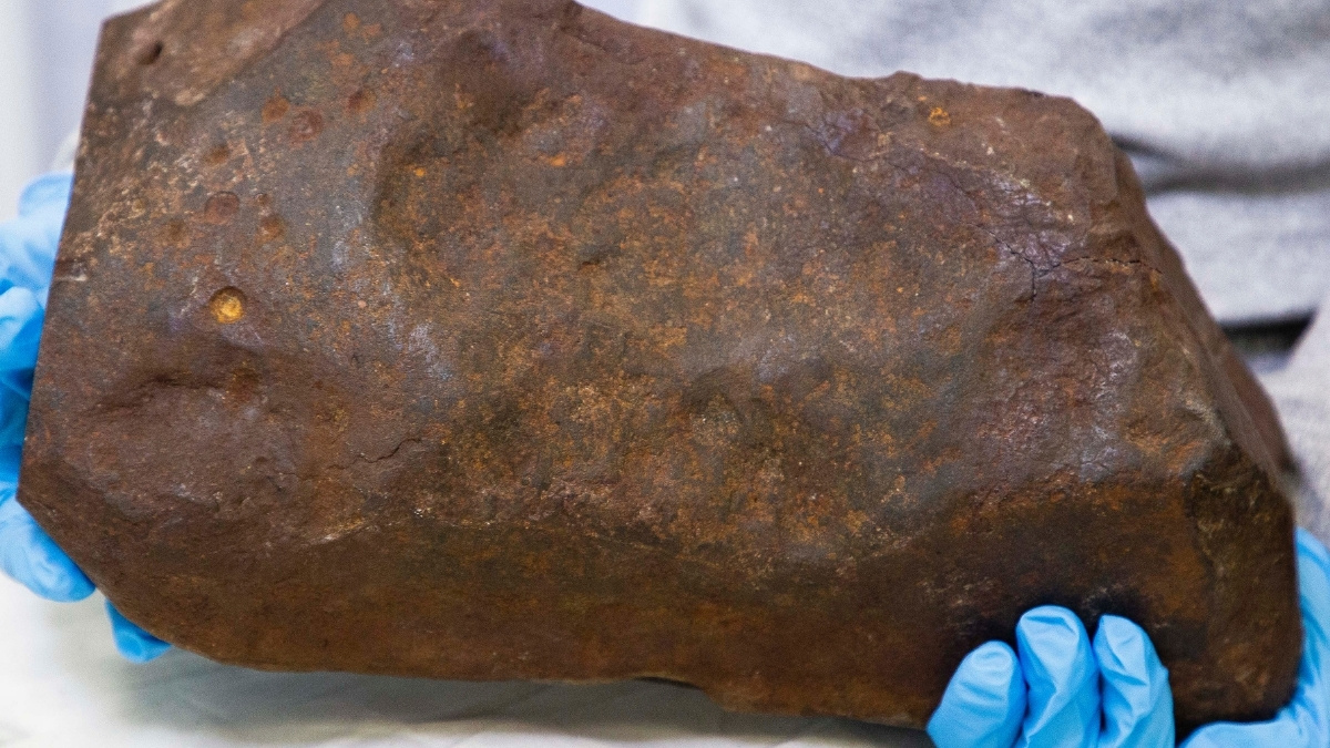 Man Keeps Rock For Years, Hoping It’s Gold. It Turned Out to Be Way More Valuable. : ScienceAlert