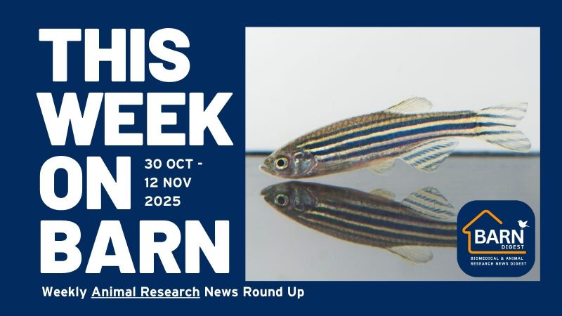 This week on BARN – animal research news from UAR members (30 October