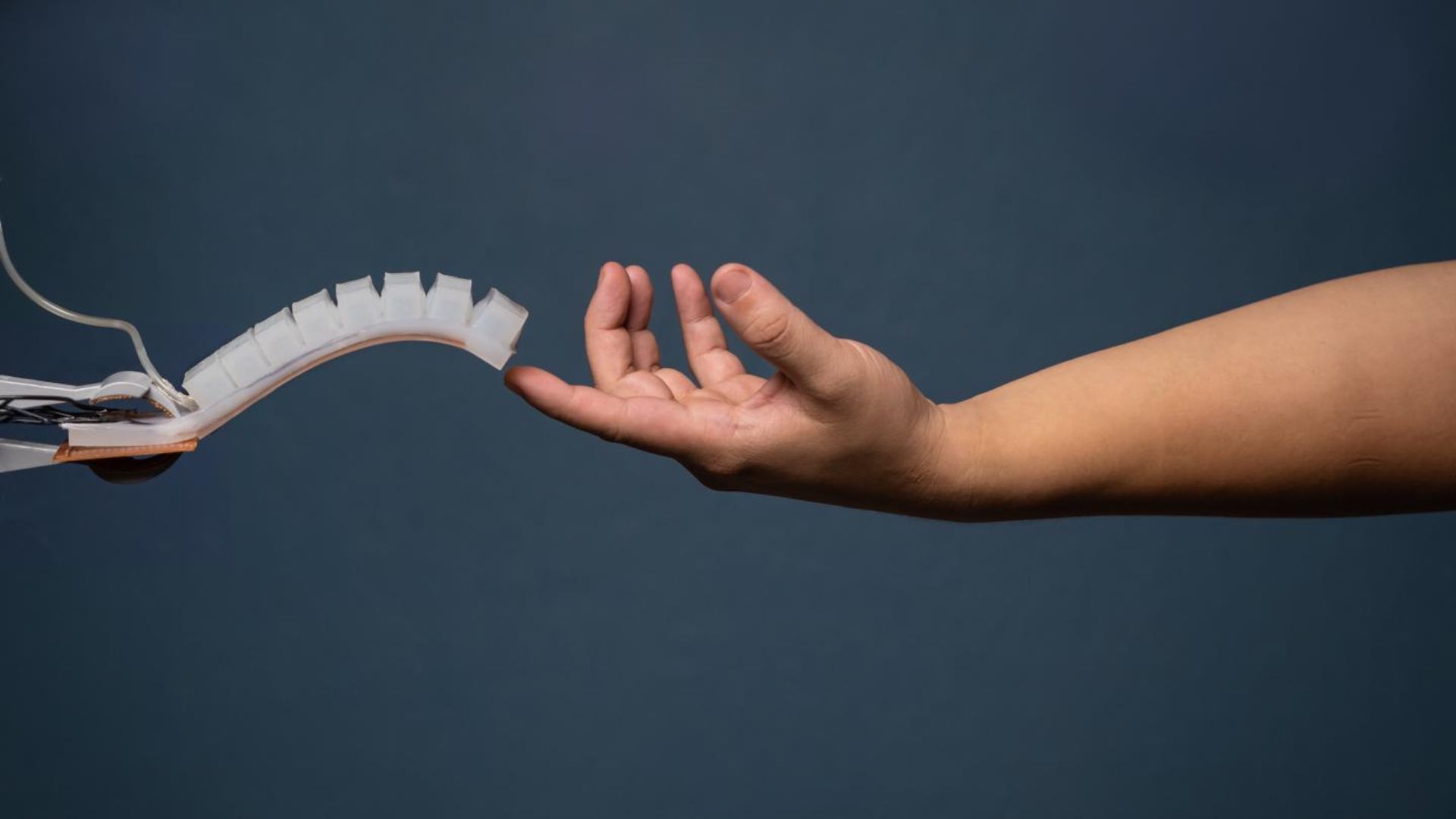 Programmable soft materials enable smarter, direction-based robotics