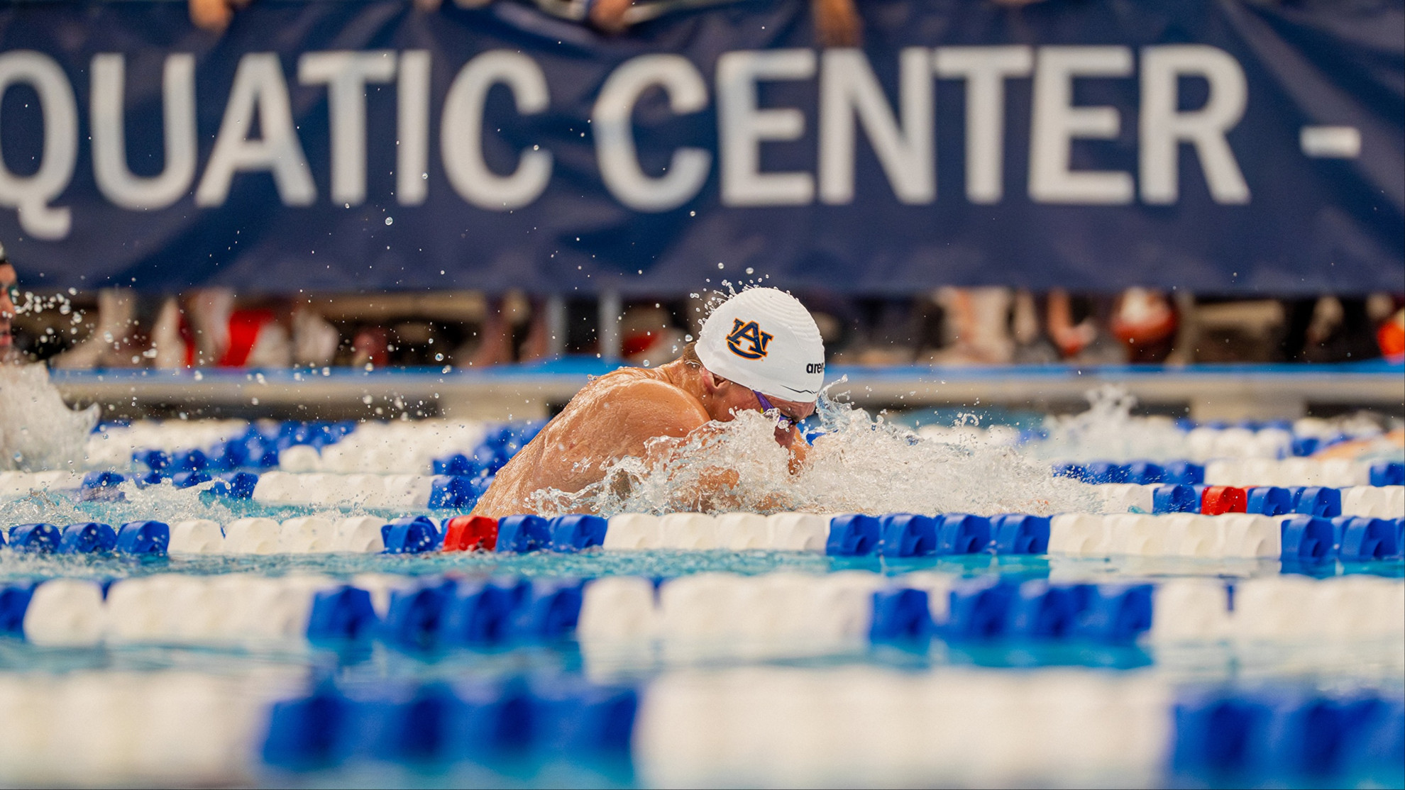 Top-10 swims bolster strong showing to start midseason – Auburn Tigers