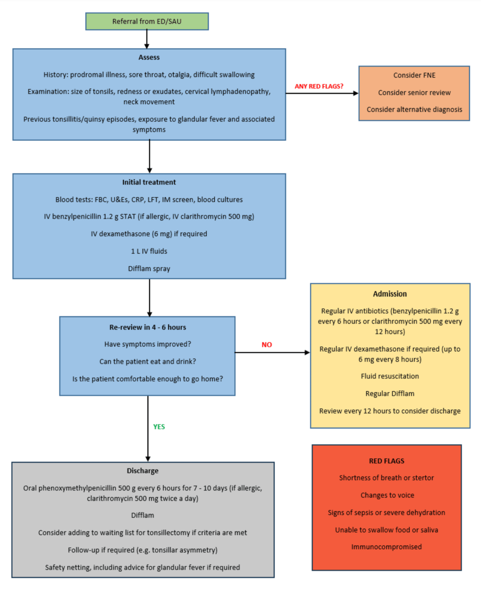 Implementation of an Acute Tonsillitis Protocol in a District General Hospital: A Two-Cycle Audit
