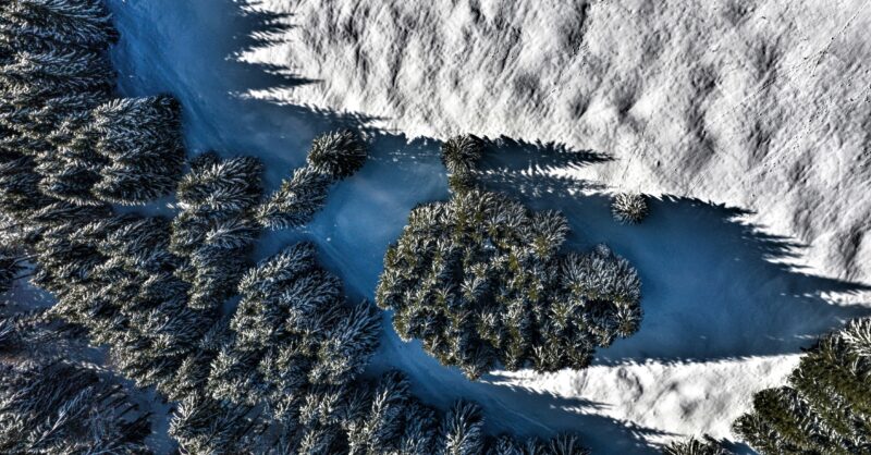 UN forum launches first “total balance sheet” transition guide for insurers at COP30 – United Nations Environment – Finance Initiative