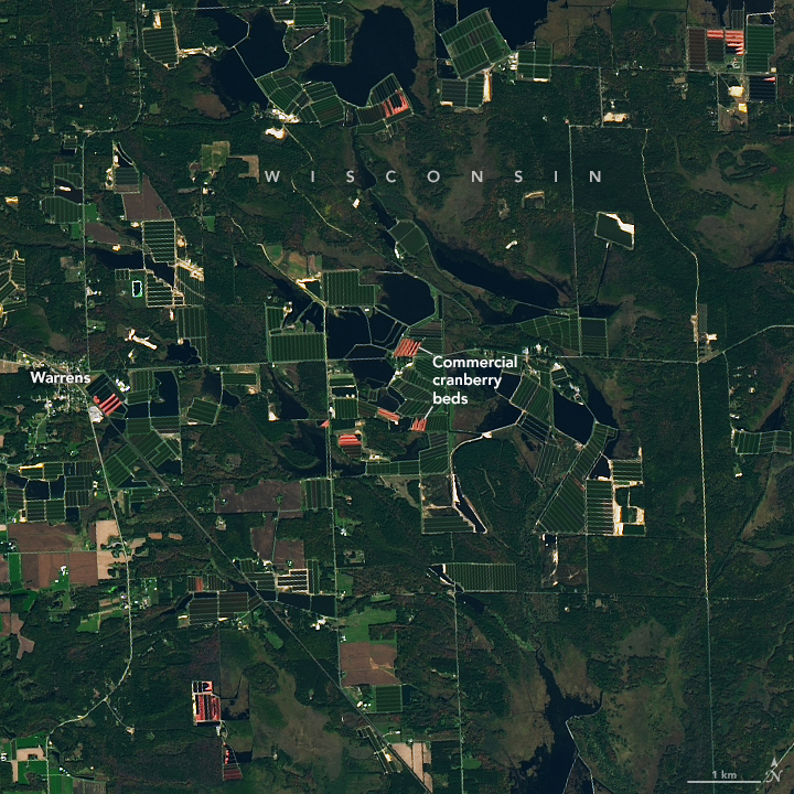 Cranberry Country, Wisconsin