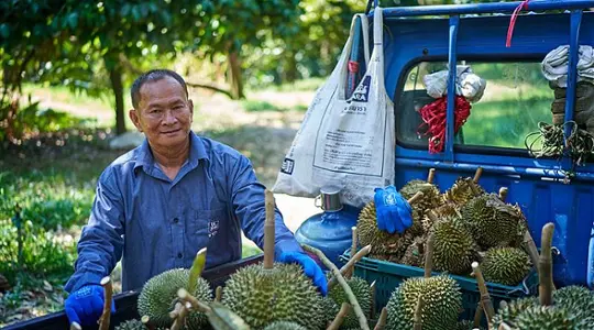 Yara’s journey in Thailand from a royal encounter to future farming
