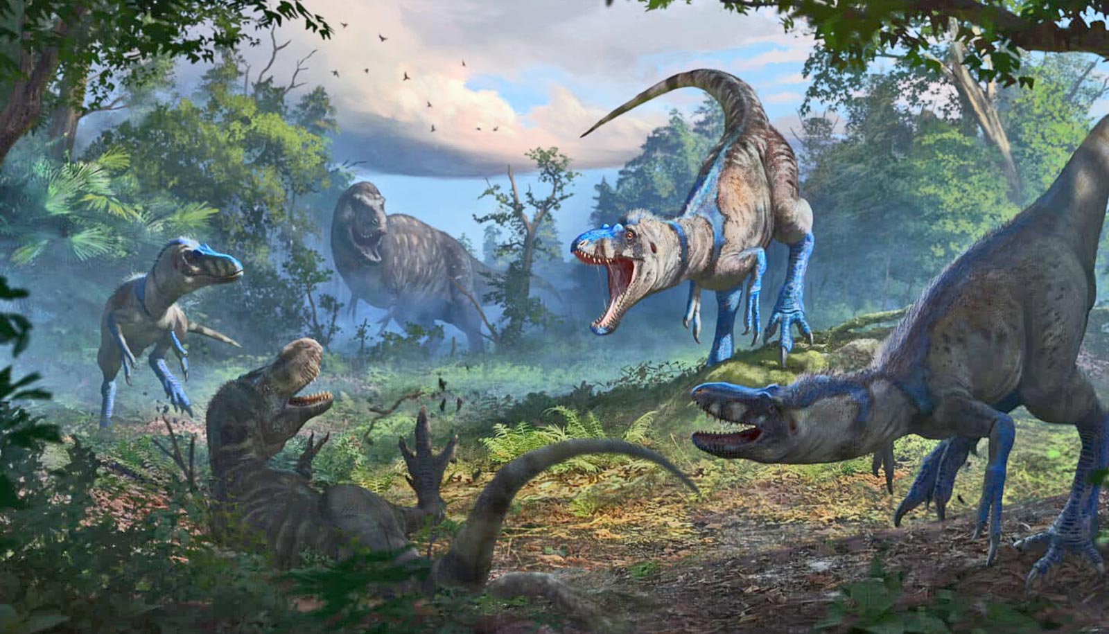 ‘Dueling dinosaurs’ fossil upends ideas about T. rex