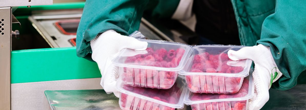 How Recent Developments Are Rewriting the Story for Lifecore Biomedical