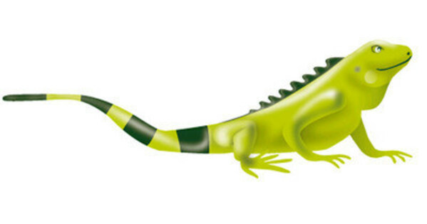 Ecopetrol Group Releases Its First Financial Sustainability Report, Incorporating Reference Elements from the International Sustainability Standards Board (ISSB) Framework