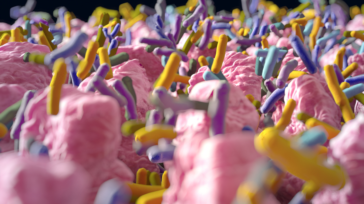 A Crucial Genetic Mutation Behind Crohn’s Disease Has Finally Been Revealed