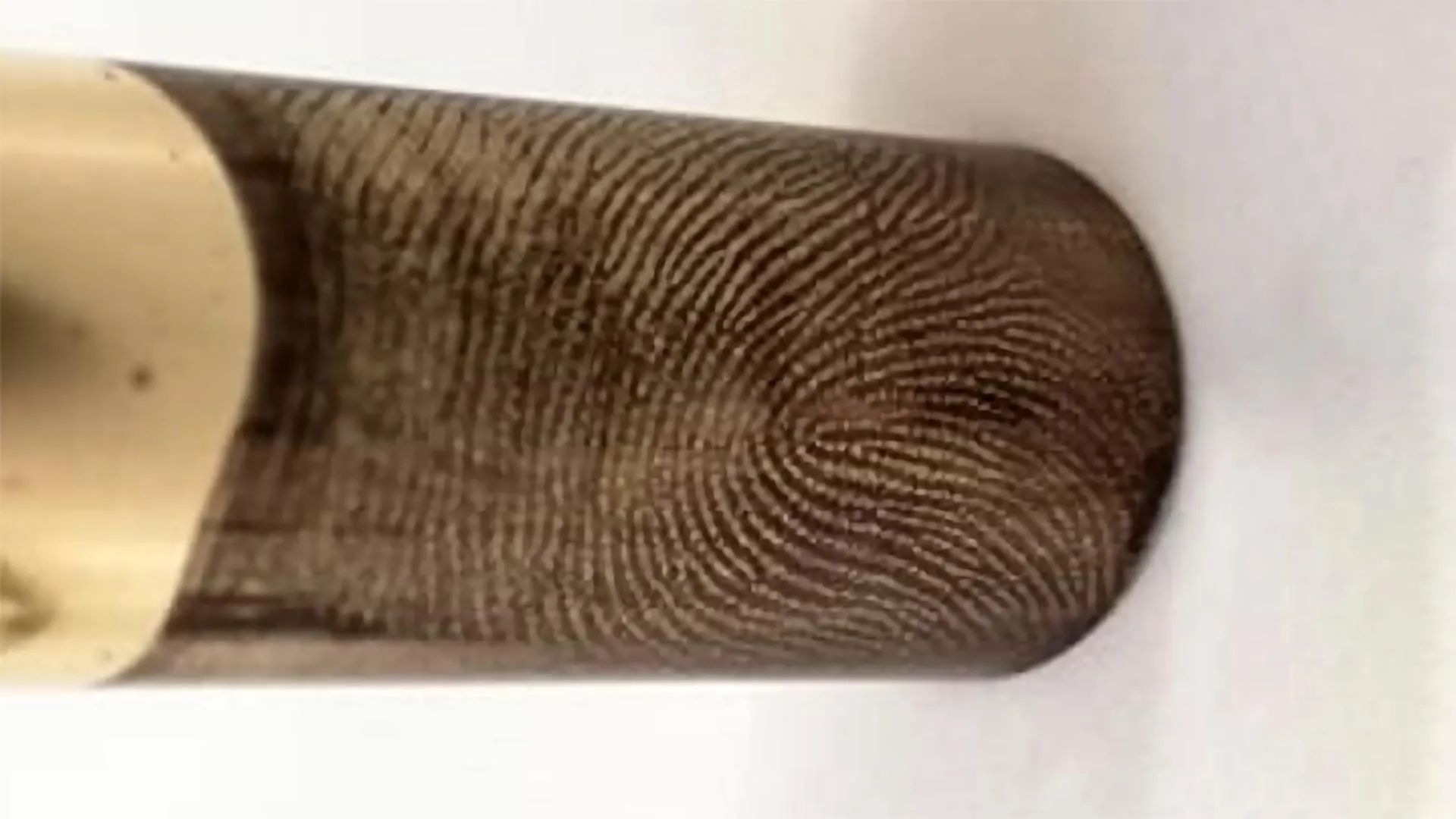 Scientists achieve forensics’ “Holy Grail” by recovering fingerprints from fired bullets Scientists achieve forensics’ “Holy Grail” by recovering fingerprints from fired bullets