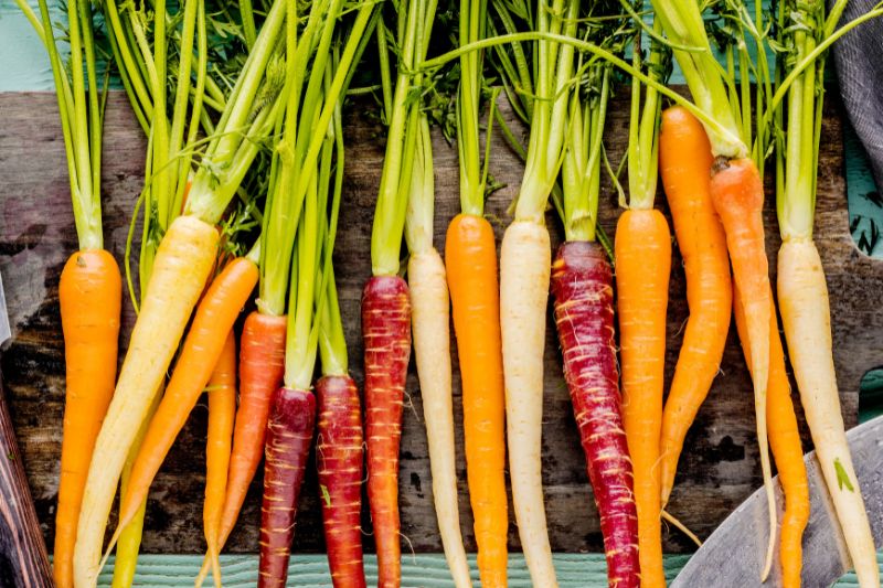 Gene discovery explains colour shift from orange to yellow in carrots
