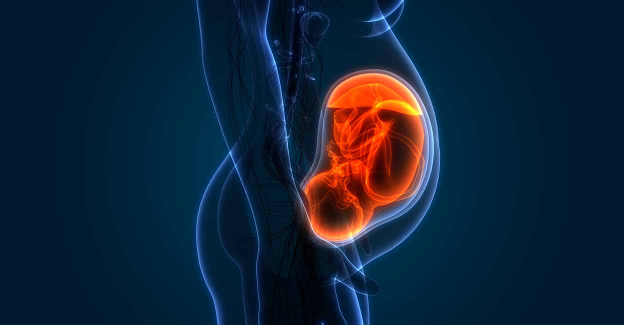 Genetic switch behind pregnancy discovered: Key to solving IVF failures and miscarriages | Health