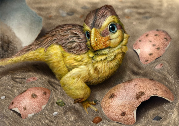 Dinosaur Eggshells Help Paleontologists Determine Age of Fossil-Bearing Rocks Dinosaur Eggshells Help Paleontologists Determine Age of Fossil-Bearing Rocks