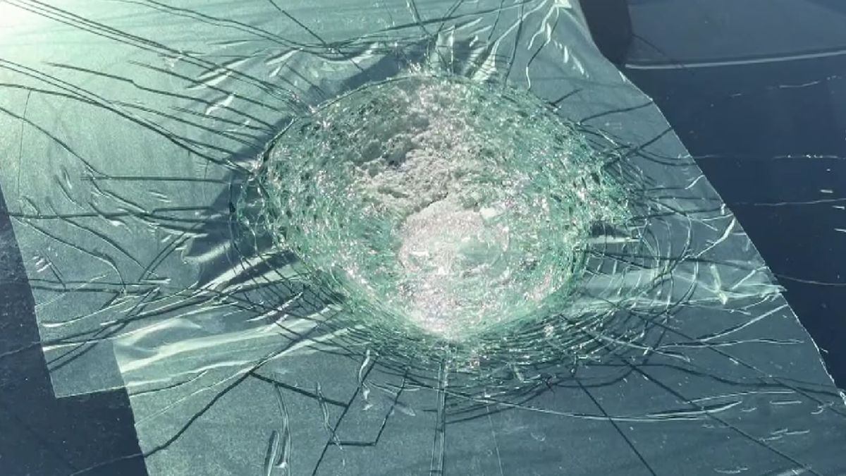 Tesla in Australia Struck by Mystery Object And It Could Be a World First : ScienceAlert